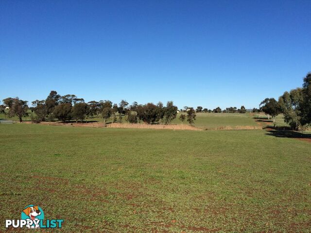 TOODYAY WA 6566