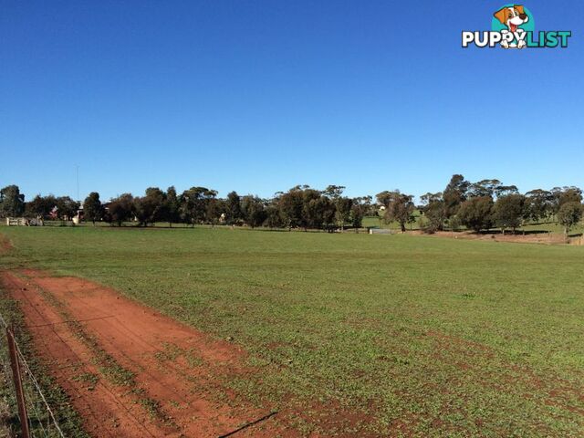 TOODYAY WA 6566