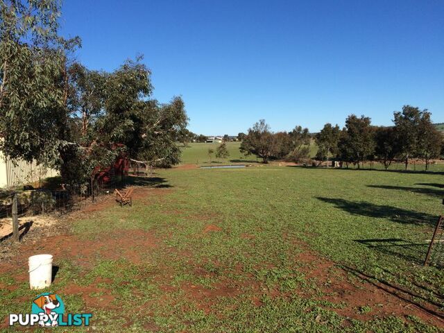 TOODYAY WA 6566