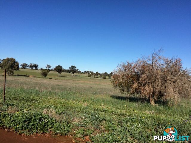 TOODYAY WA 6566