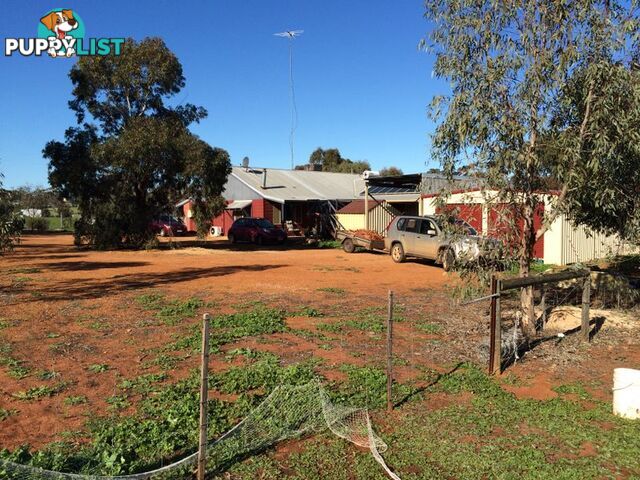 TOODYAY WA 6566