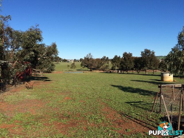 TOODYAY WA 6566