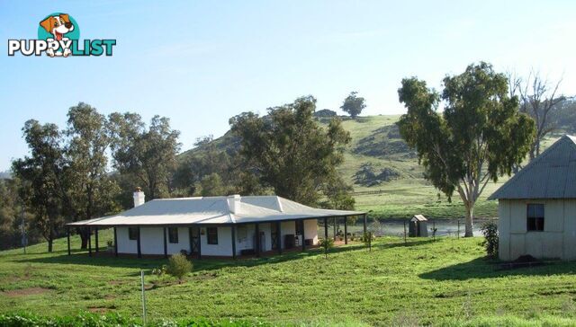 Lot 119 Drumree Drive TOODYAY WA 6566