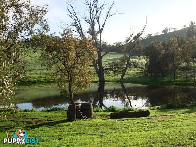 Lot 119 Drumree Drive TOODYAY WA 6566