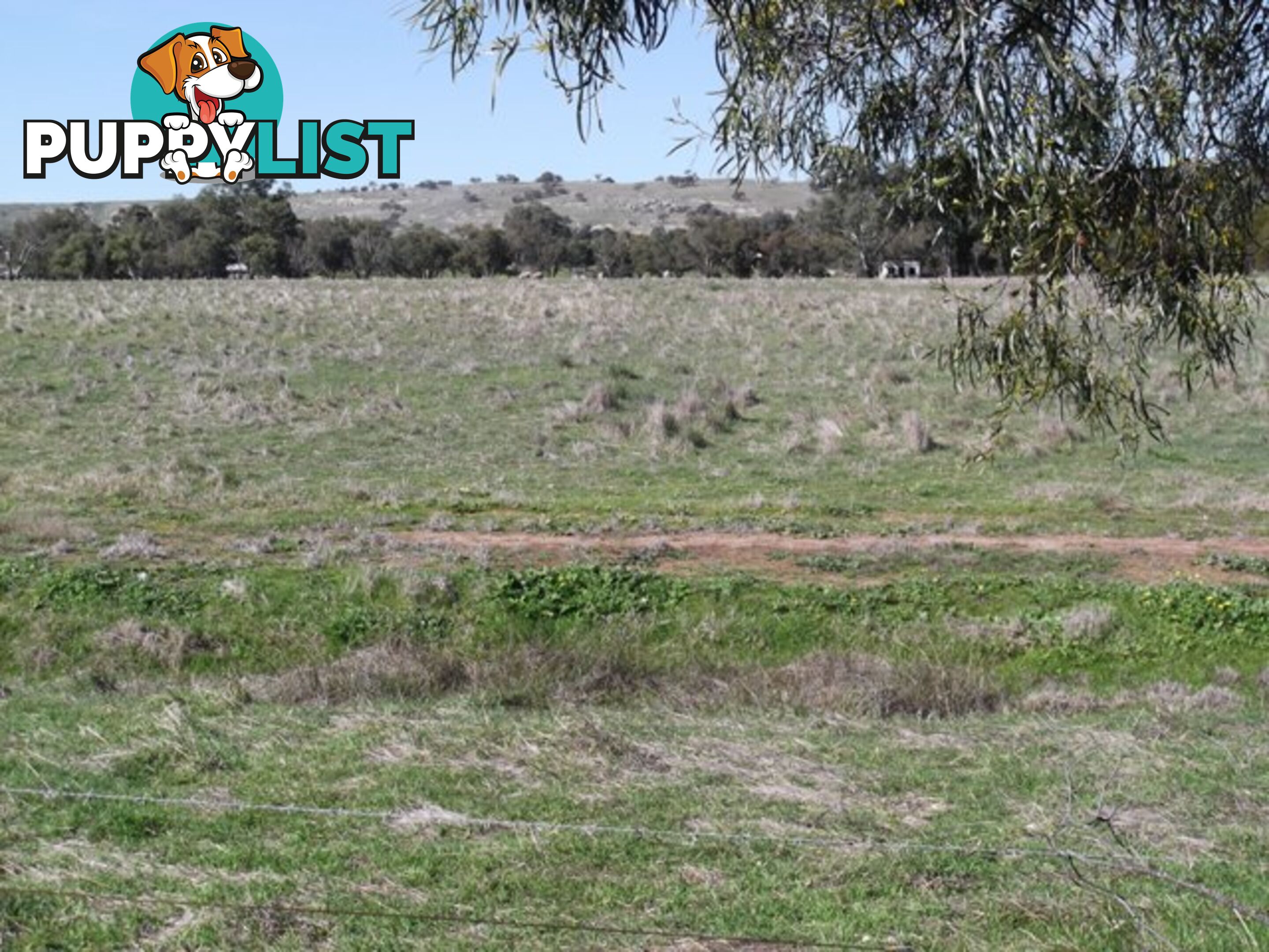 Lot 12 Whitfield Road TOODYAY WA 6566