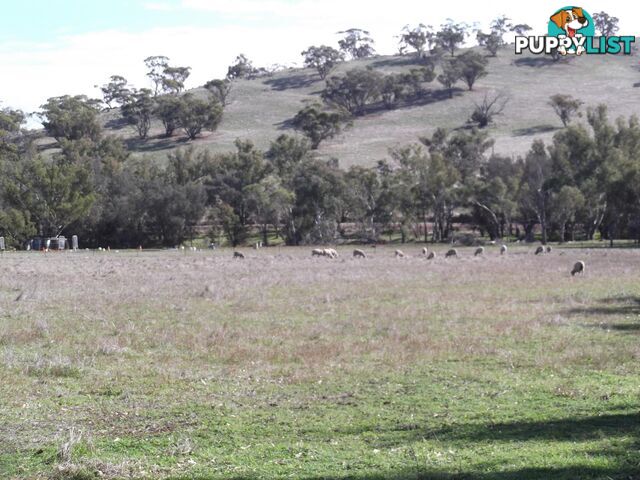 Lot 12 Whitfield Road TOODYAY WA 6566