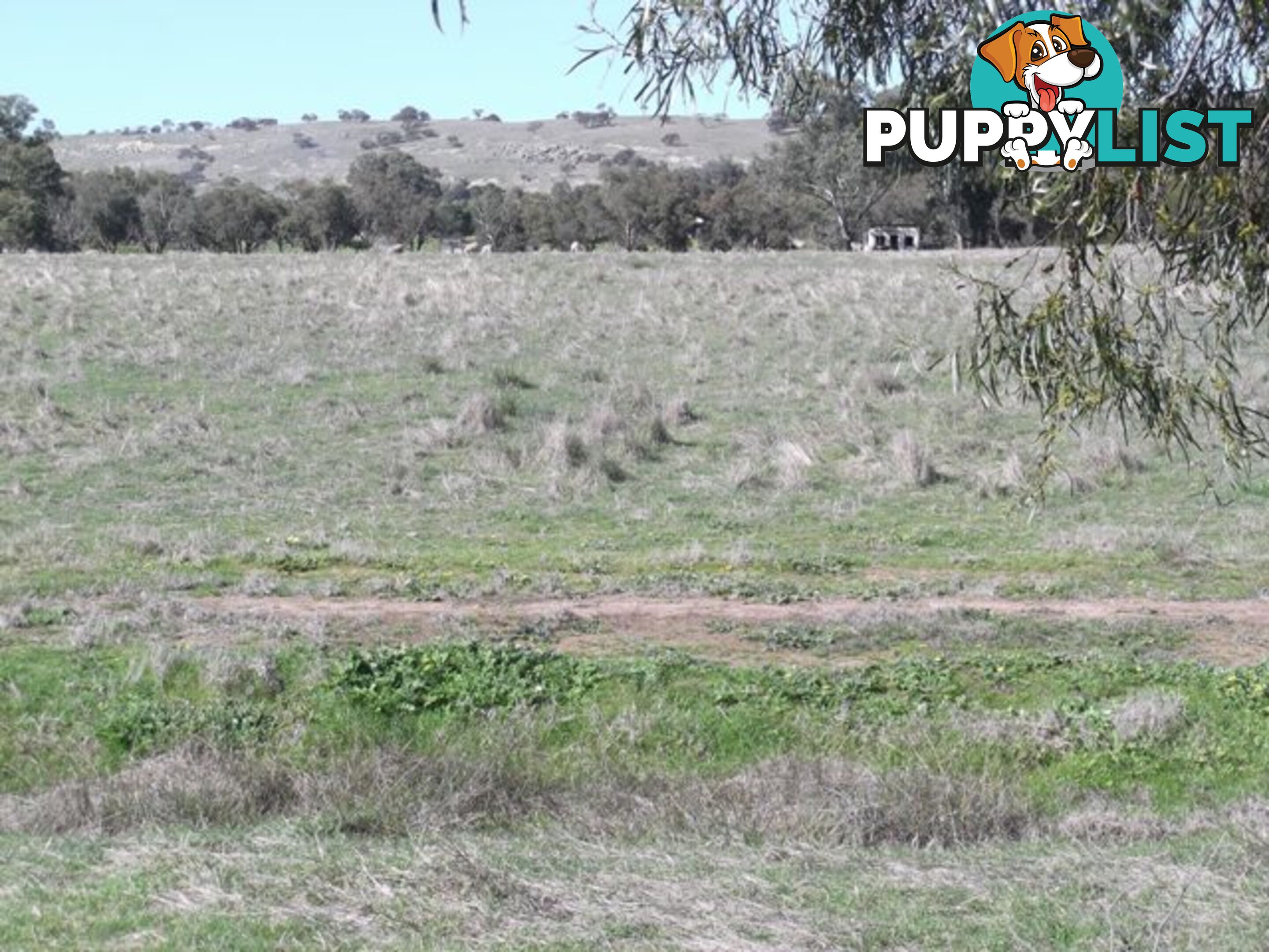 Lot 12 Whitfield Road TOODYAY WA 6566