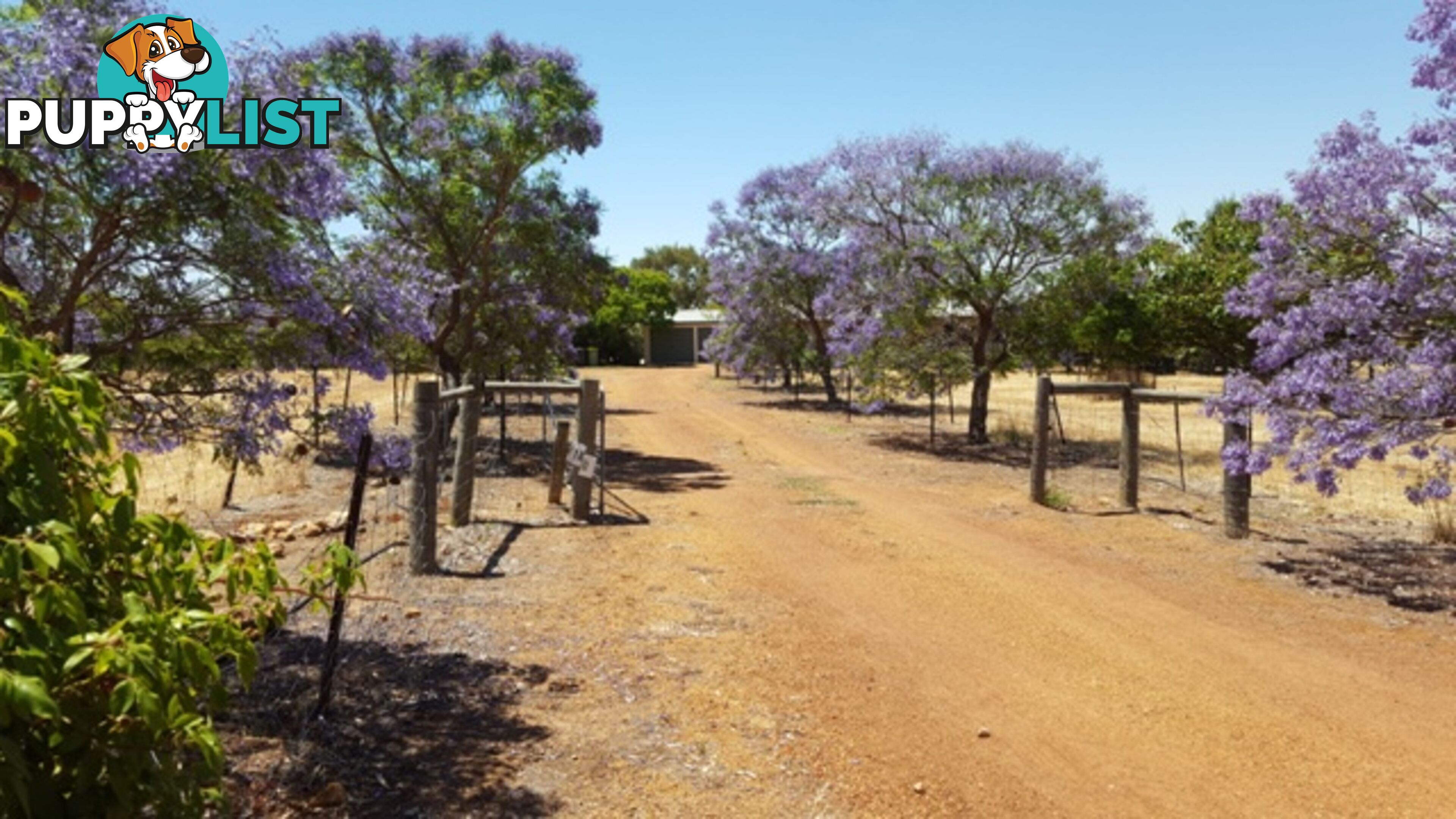 128 Folewood Road TOODYAY WA 6566