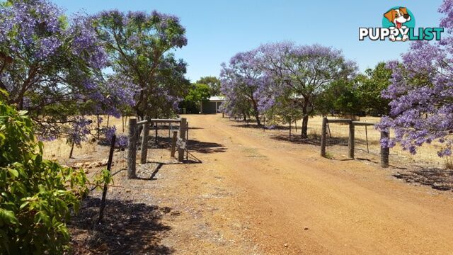 128 Folewood Road TOODYAY WA 6566