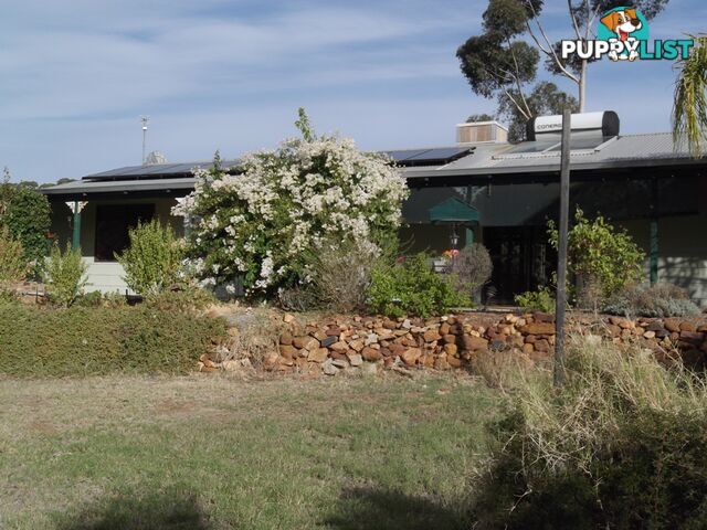 21 Hassell Close TOODYAY WA 6566