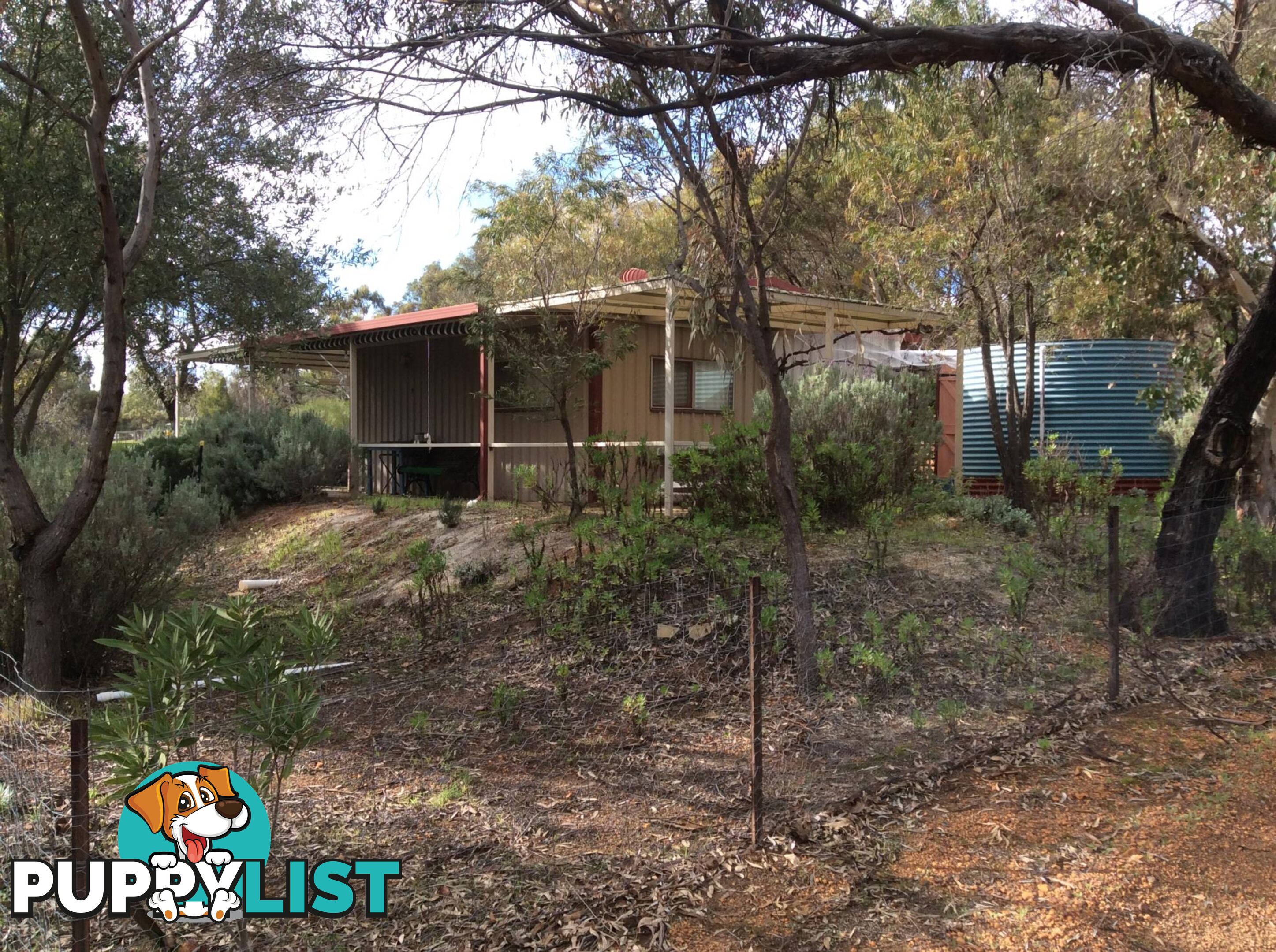 14 MEADOW PLACE TOODYAY WA 6566