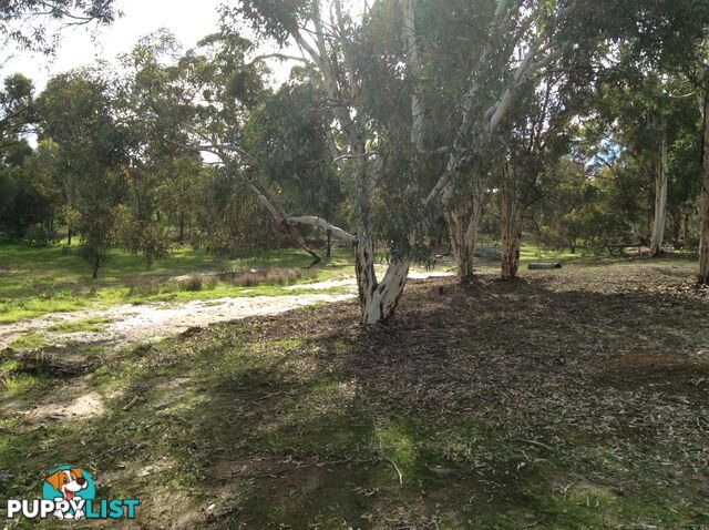 14 MEADOW PLACE TOODYAY WA 6566