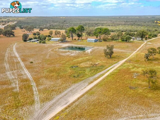 2412 Gingin Brook Road NEERGABBY WA 6503