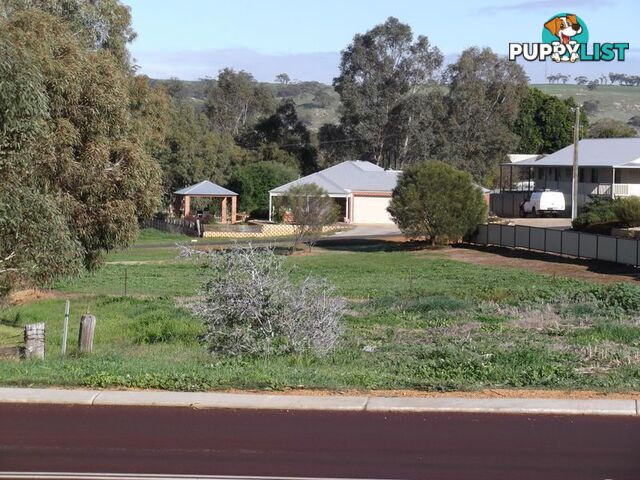 43 Telegraph Road TOODYAY WA 6566