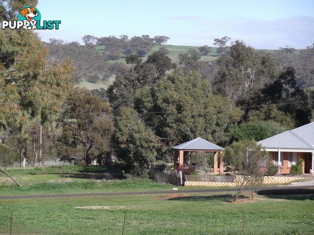 43 Telegraph Road TOODYAY WA 6566