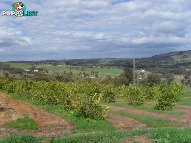 TOODYAY WA 6566