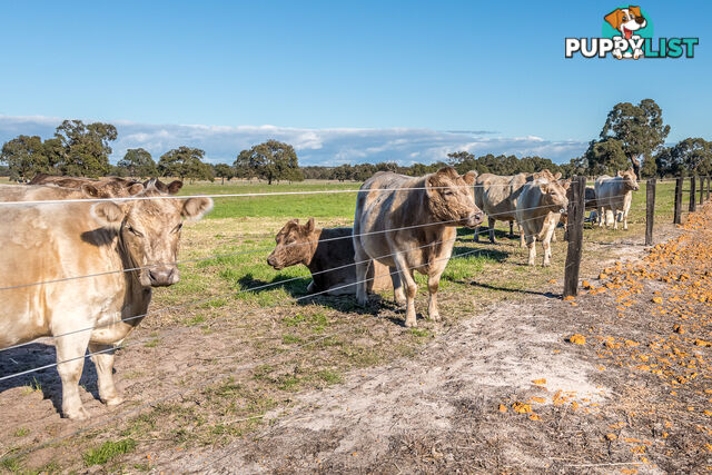 3191 Great Northern Highway BULLSBROOK WA 6084