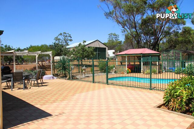 35 Wellington Street TOODYAY WA 6566