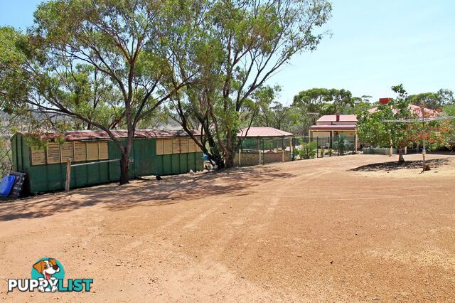 35 Wellington Street TOODYAY WA 6566