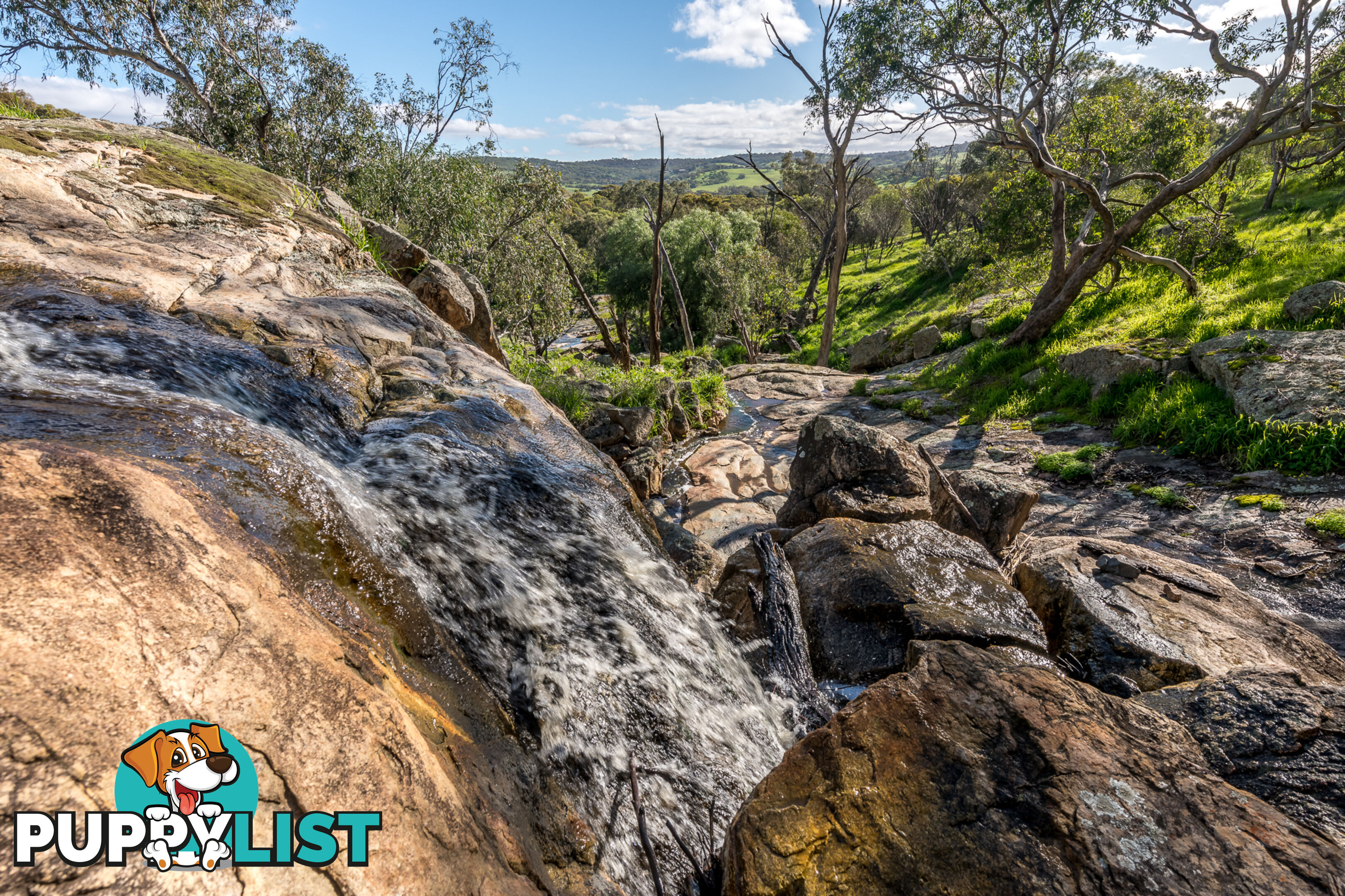 1 Balgaling Views Estate TOODYAY WA 6566