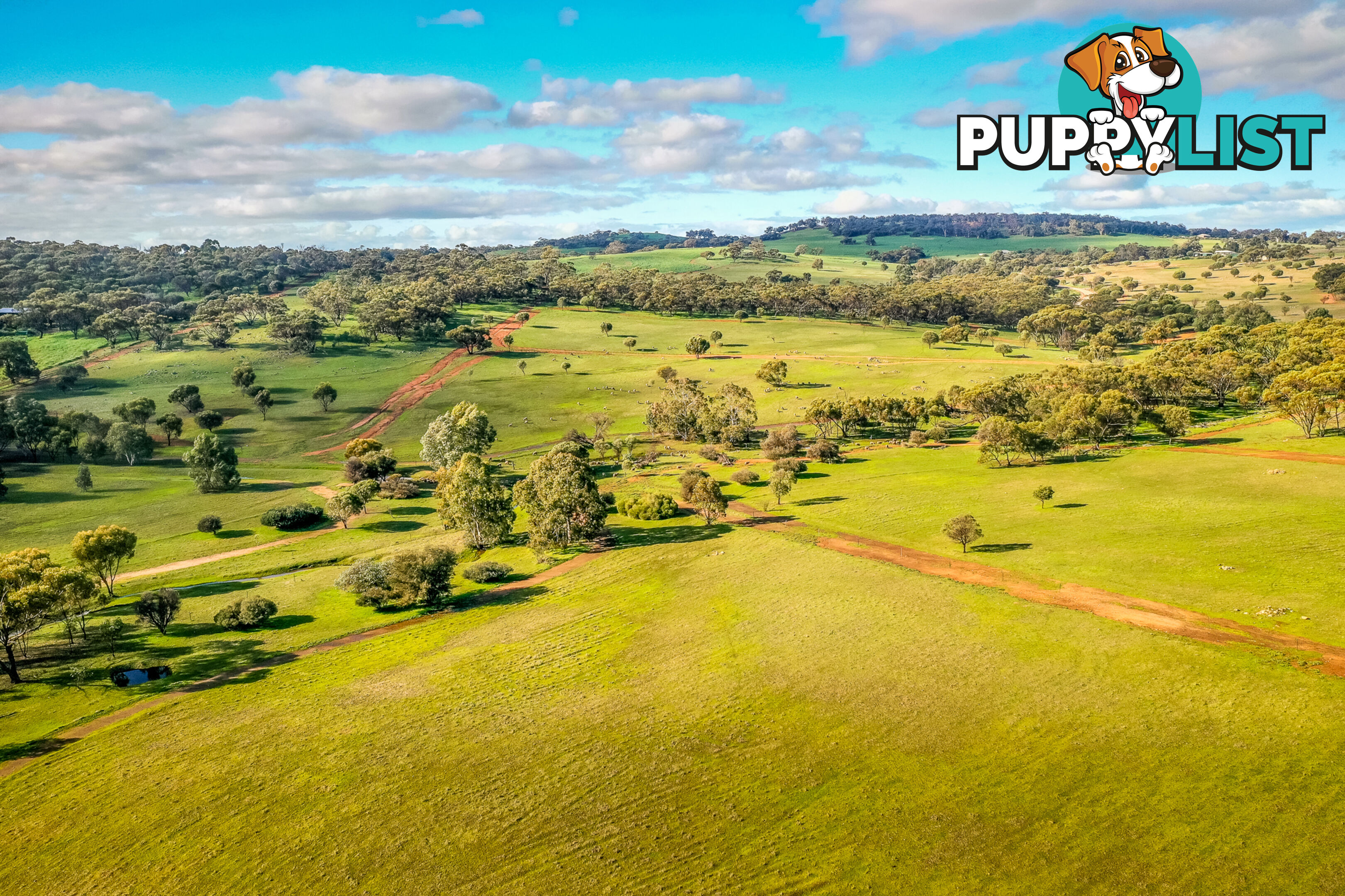 1 Balgaling Views Estate TOODYAY WA 6566