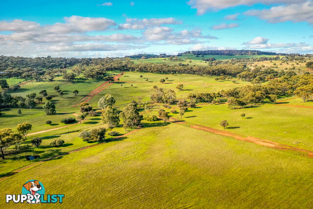 1 Balgaling Views Estate TOODYAY WA 6566