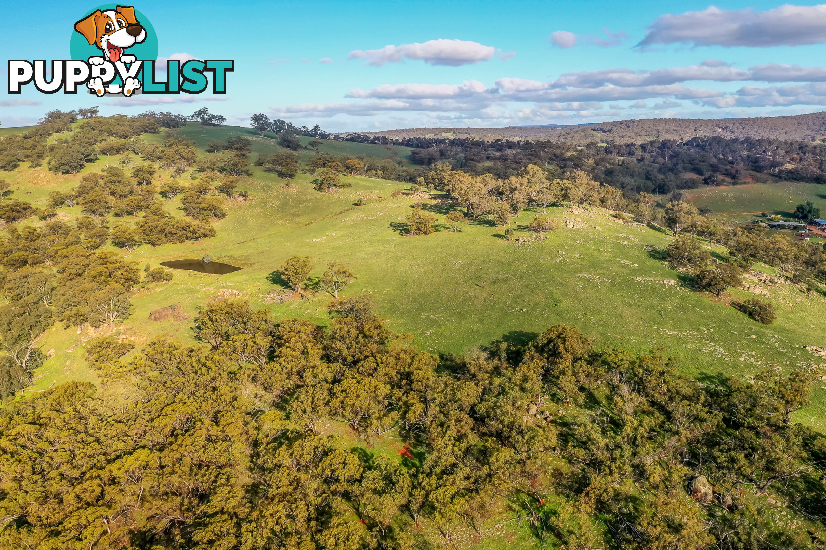 1 Balgaling Views Estate TOODYAY WA 6566