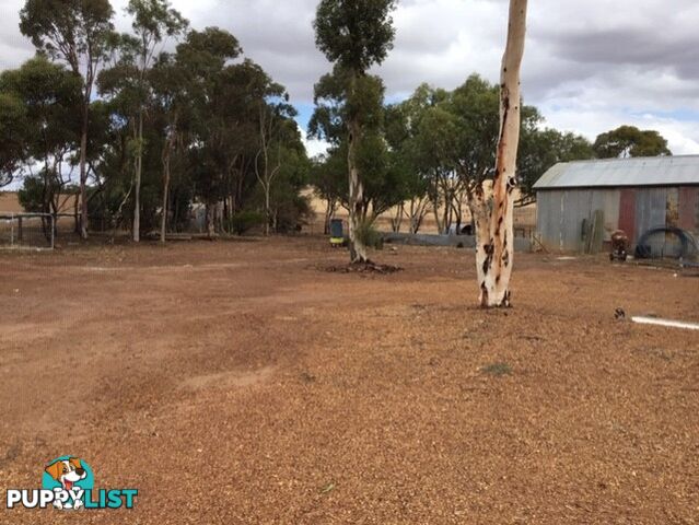 2381 Goomalling-Toodyay Road TOODYAY WA 6566