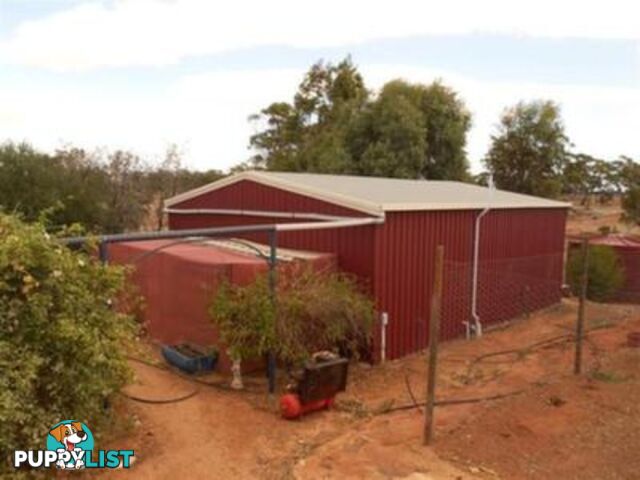 135 Seventh Road TOODYAY WA 6566