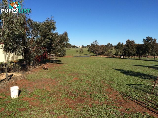 135 Seventh Road TOODYAY WA 6566