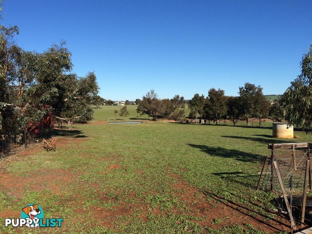 135 Seventh Road TOODYAY WA 6566