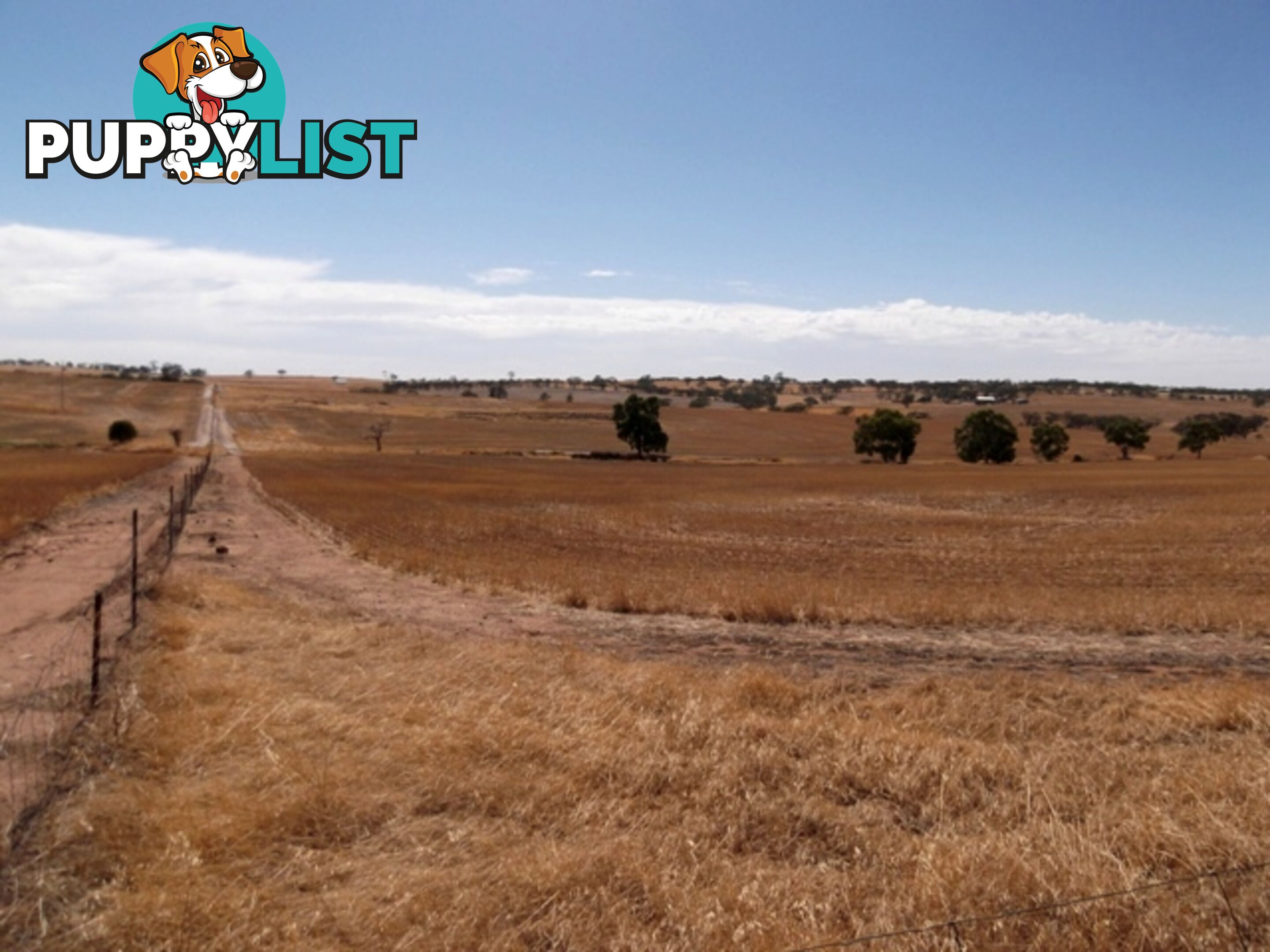 Lot 1690 Sheen Road TOODYAY WA 6566