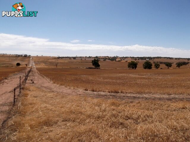 Lot 1690 Sheen Road TOODYAY WA 6566