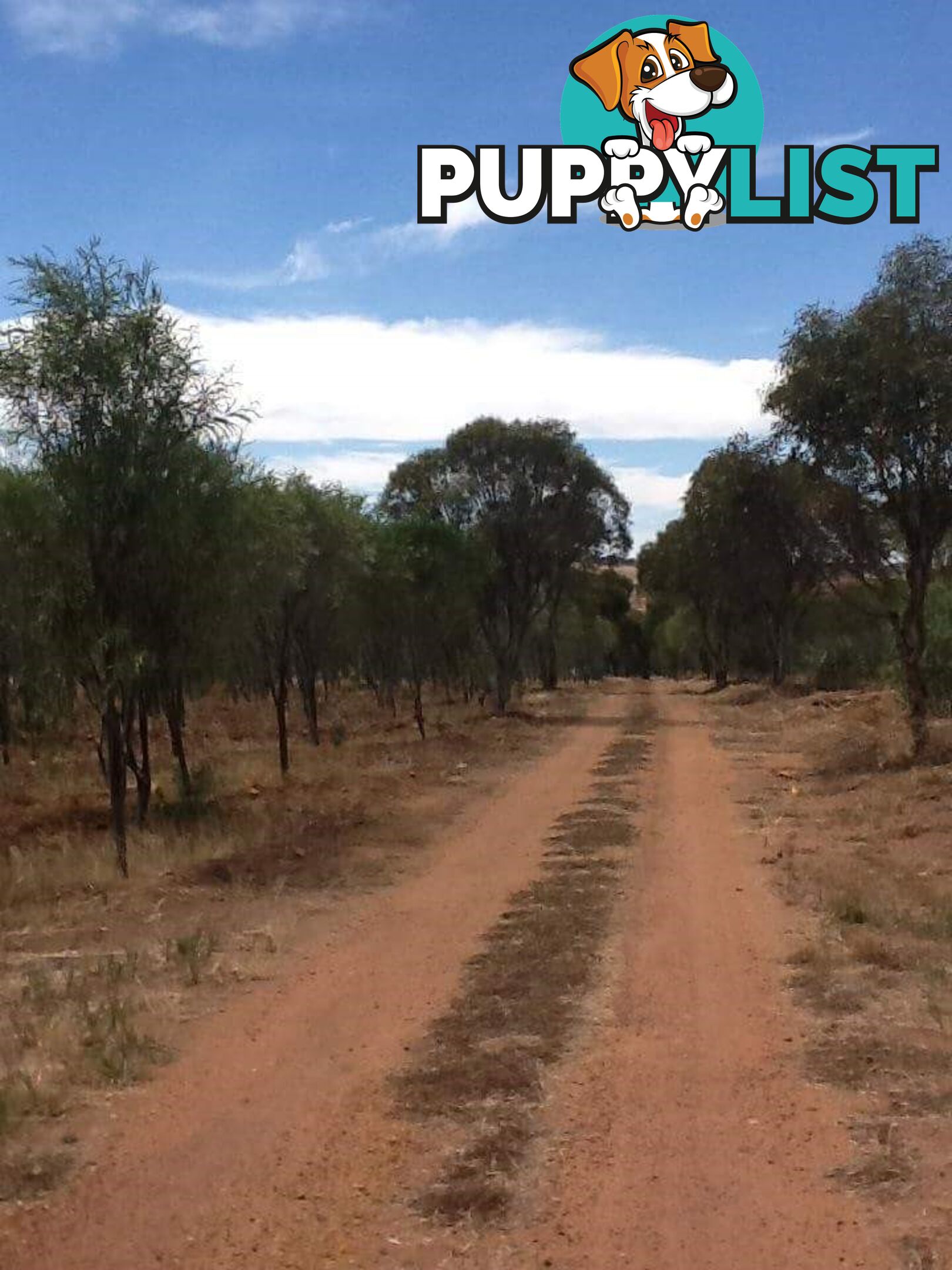 290 Railway Road TOODYAY WA 6566