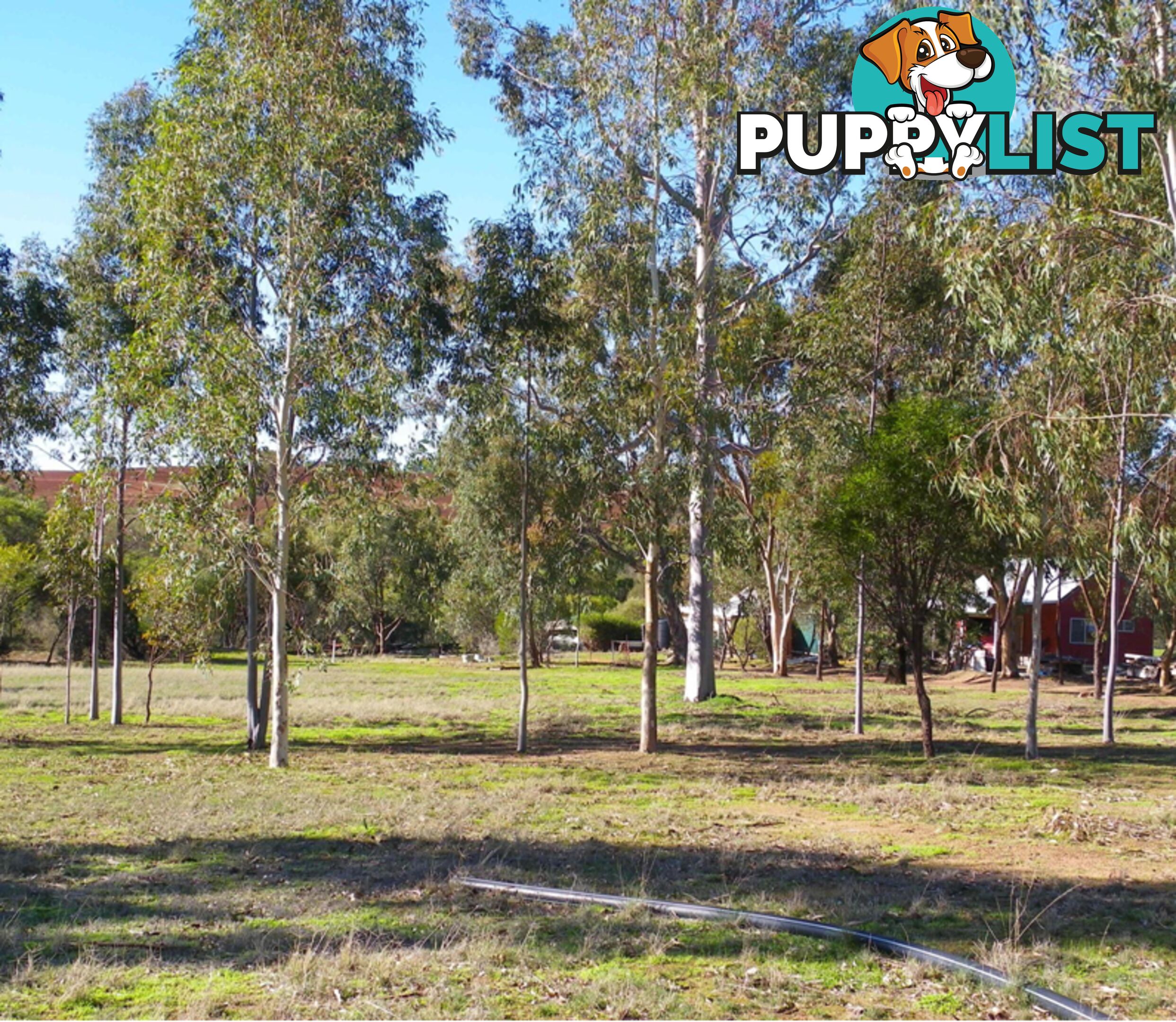 290 Railway Road TOODYAY WA 6566