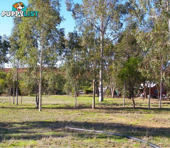 290 Railway Road TOODYAY WA 6566