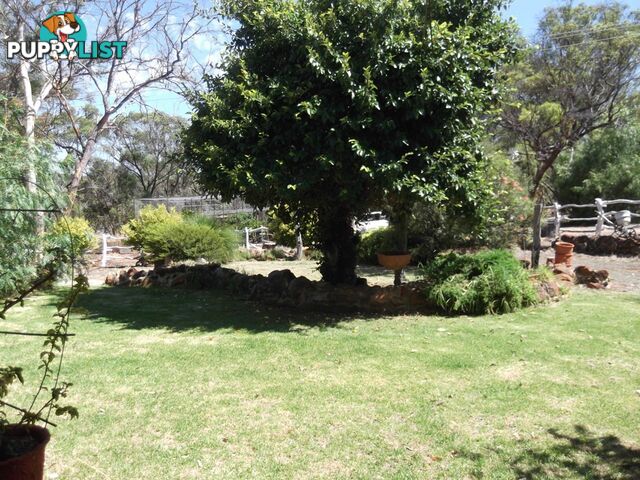 229 Sand Spring Road TOODYAY WA 6566