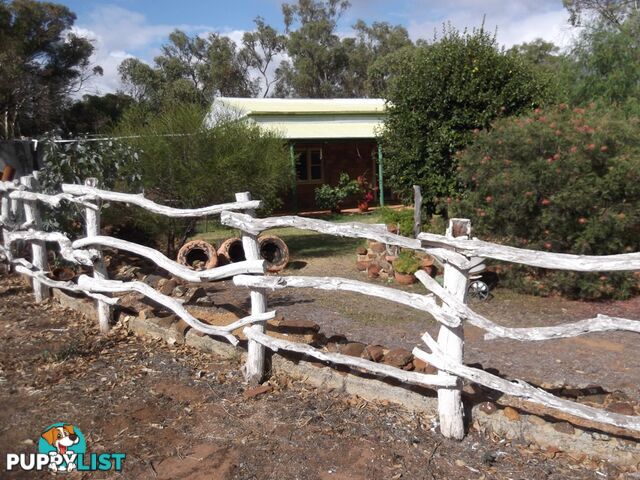 229 Sand Spring Road TOODYAY WA 6566