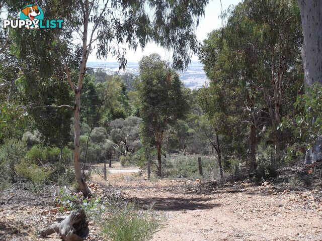 161 Harvester Drive TOODYAY WA 6566