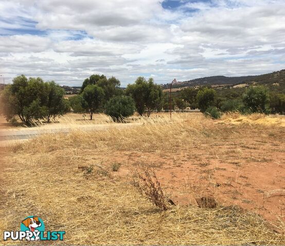 3 Tomkins Bend TOODYAY WA 6566