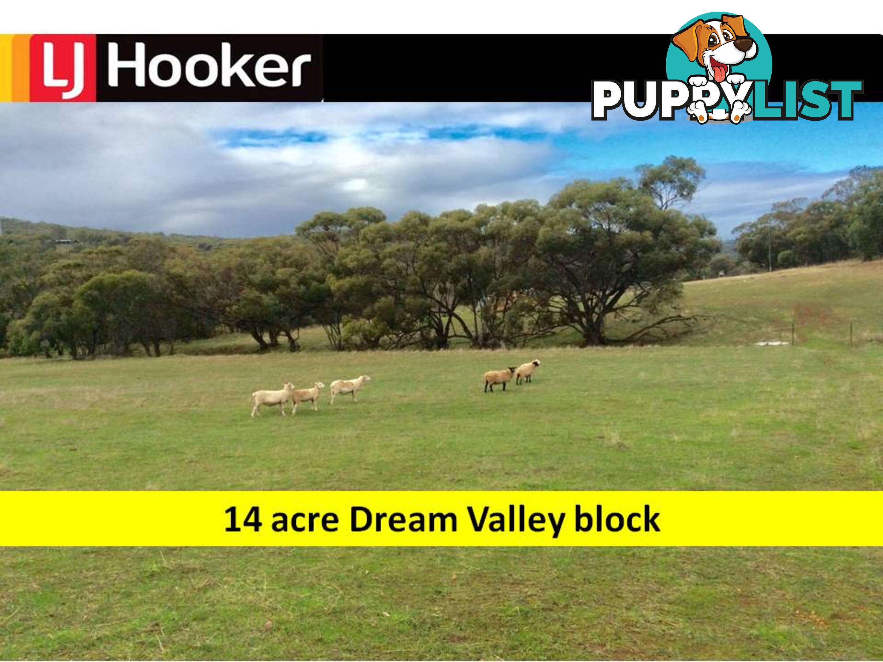 10 Kane Road TOODYAY WA 6566