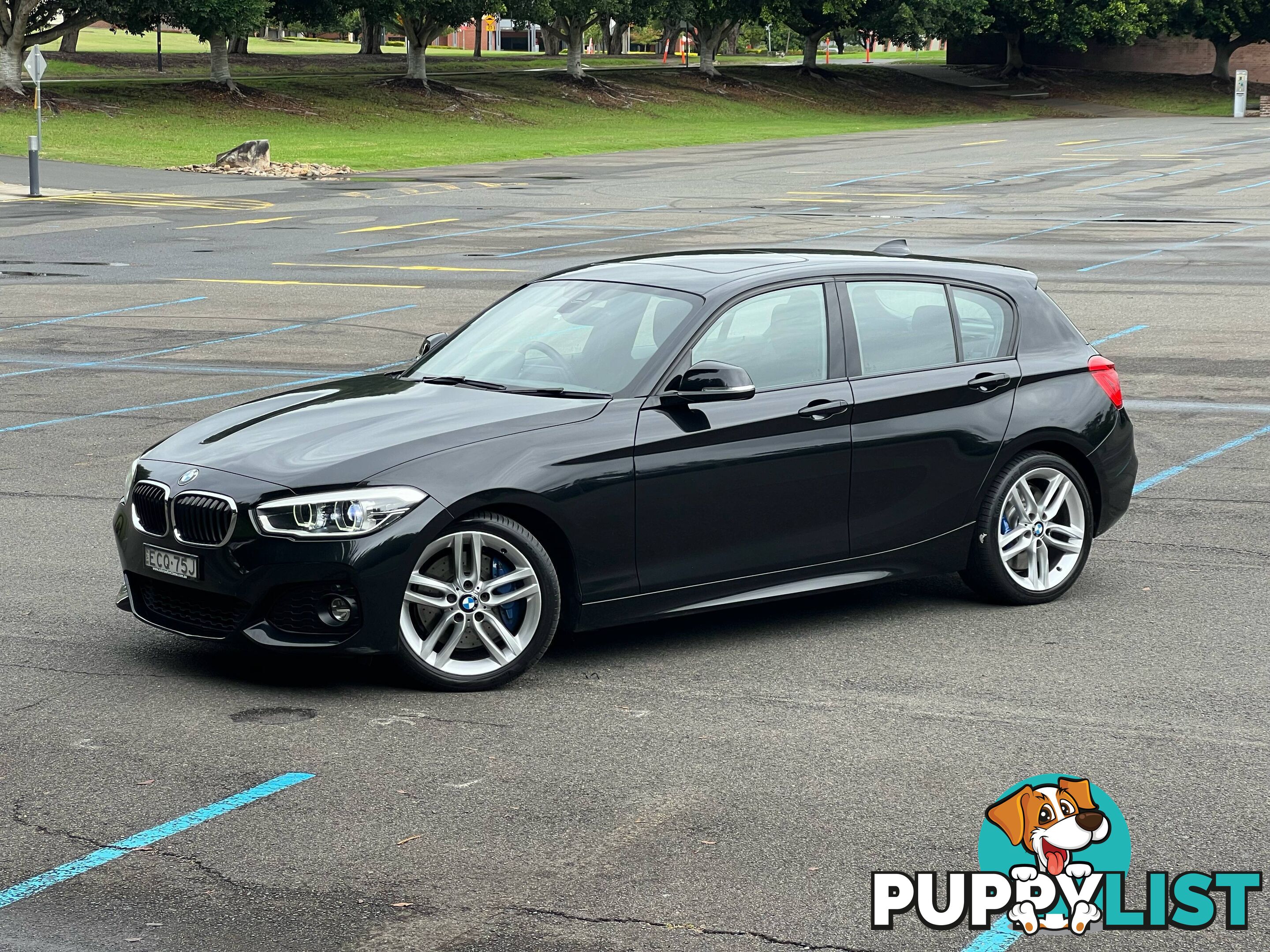 2016 BMW 1 Series F20 125i Msport Hatchback Automatic