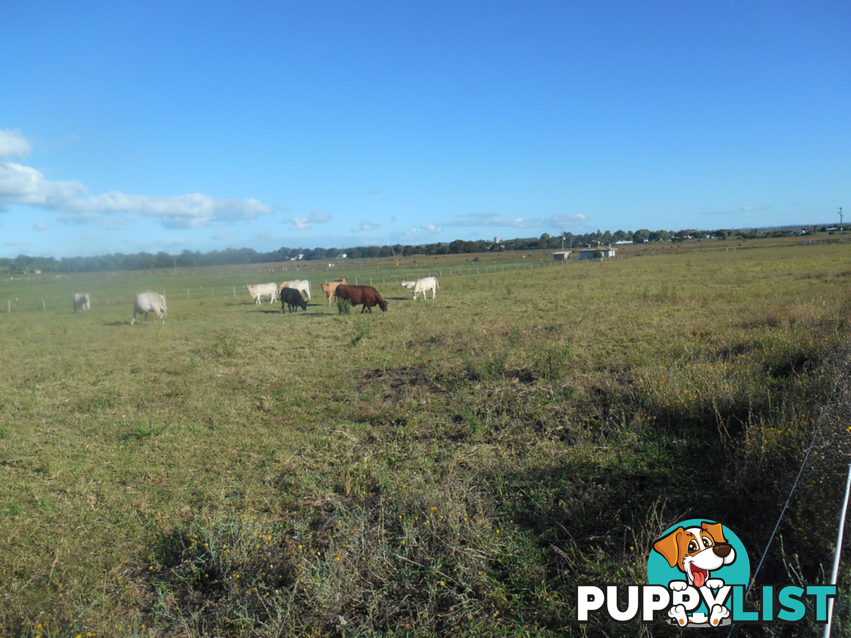 Lot 3 ALLORA CLIFTON ROAD ALLORA QLD 4362