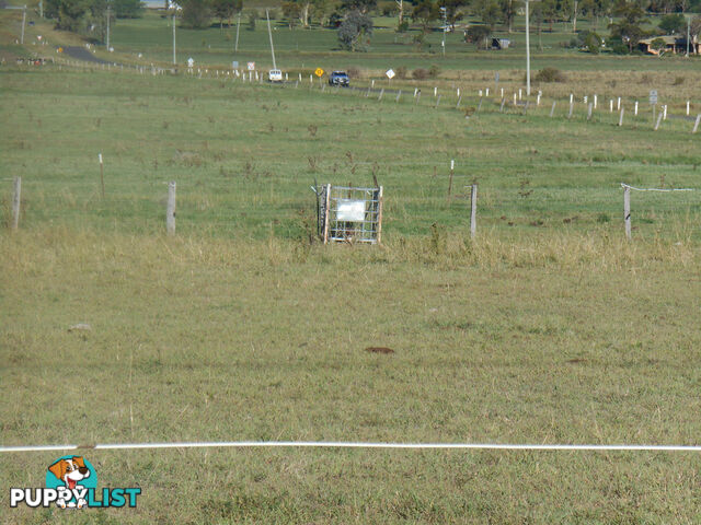 Lot 3 ALLORA CLIFTON ROAD ALLORA QLD 4362