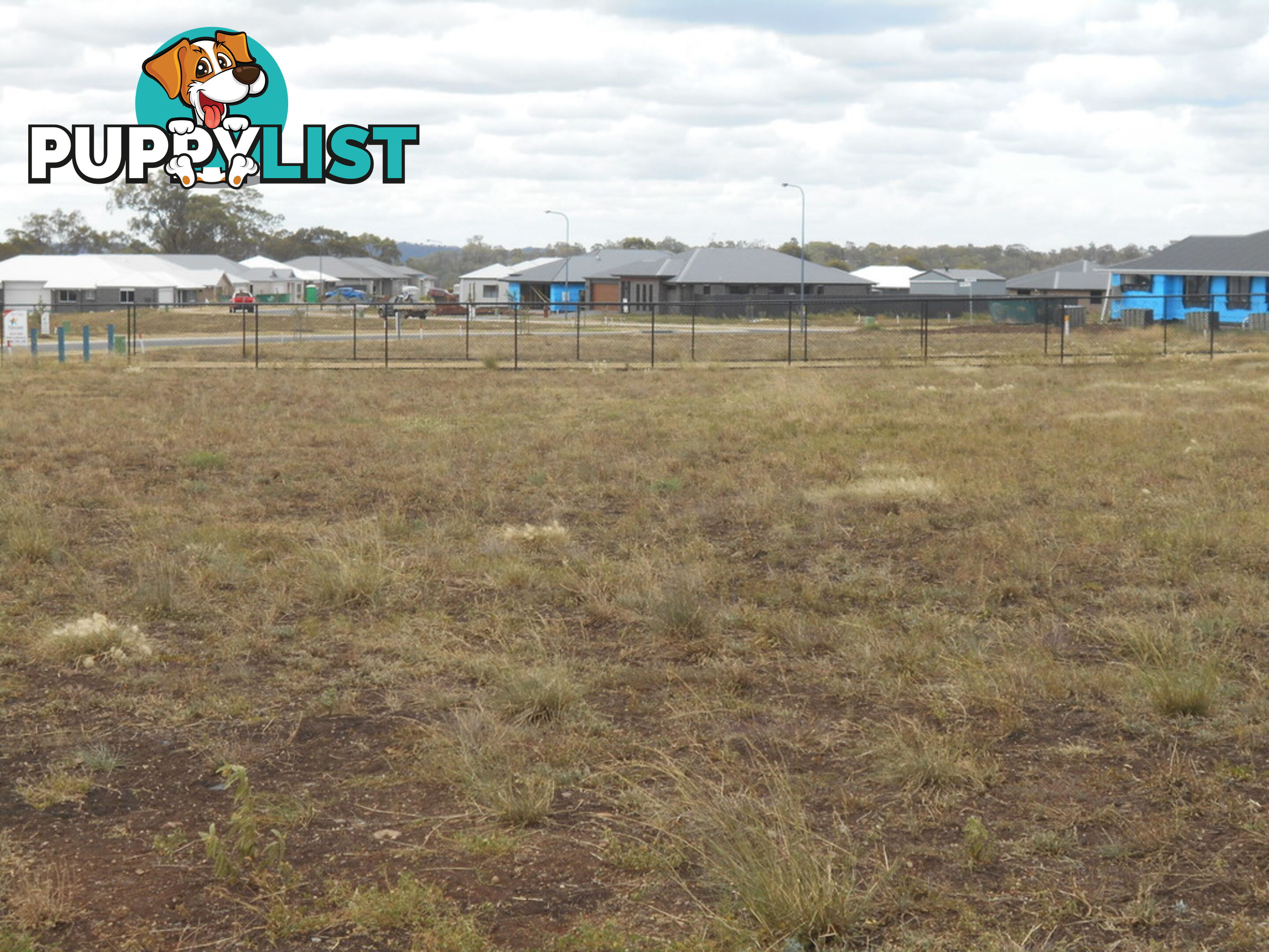 Lot 124 Basset Crescent TORRINGTON QLD 4350