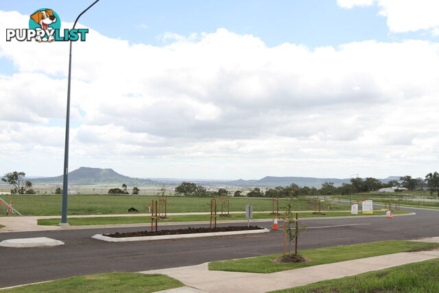 Lot 81 London Circuit TORRINGTON QLD 4350