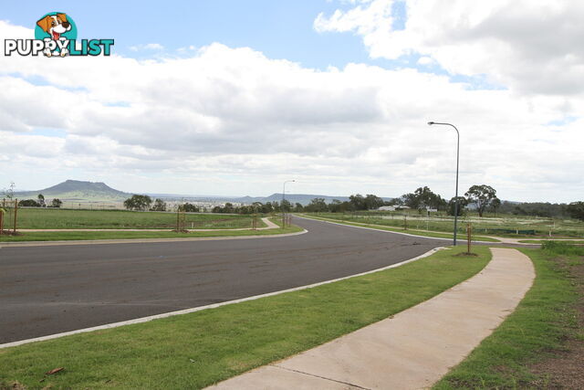 Lot 81 London Circuit TORRINGTON QLD 4350