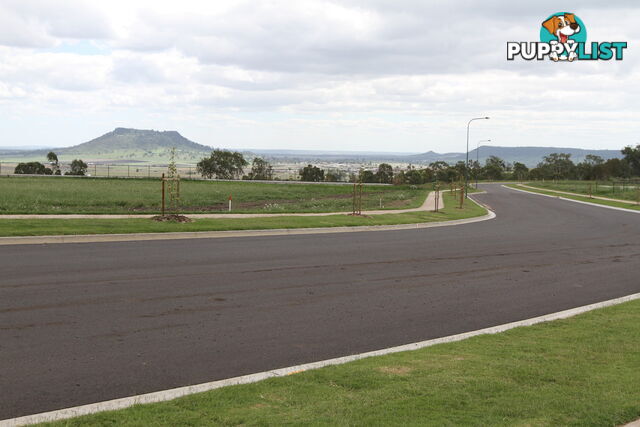 Lot 81 London Circuit TORRINGTON QLD 4350