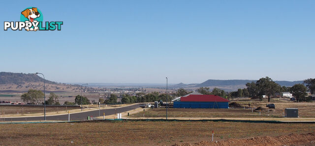 Lot 106 Basset Crescent TORRINGTON QLD 4350