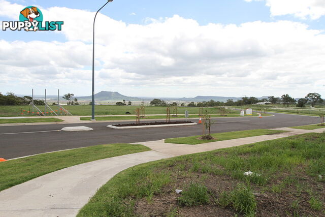 Lot 106 Basset Crescent TORRINGTON QLD 4350